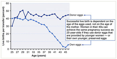 frozen-egg-bank-age-statistics