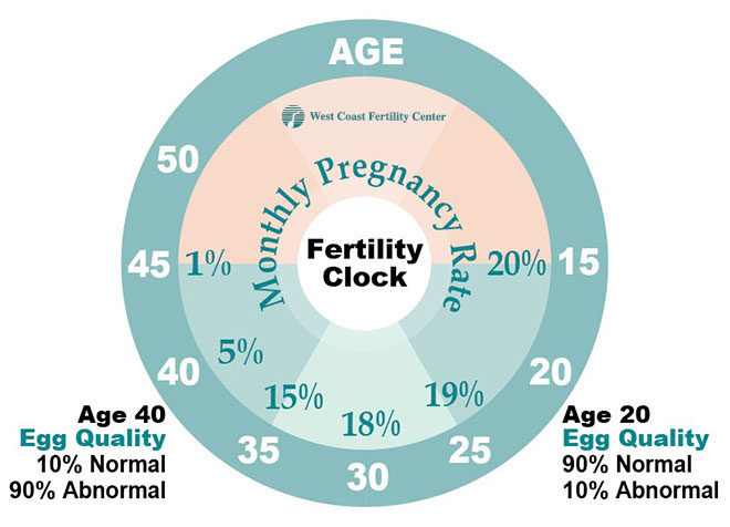 Fertility Among Foreign Women 31