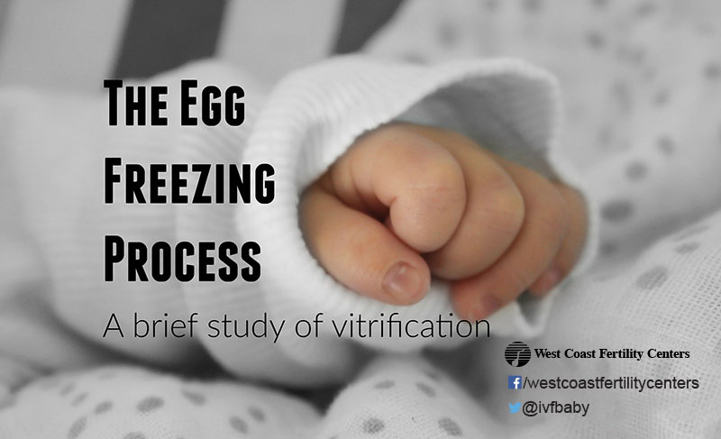 egg-freezing-process-vitrification